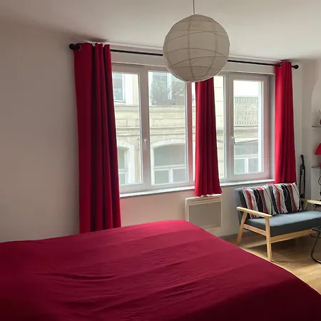 Au Coeur Des Rues Pietonnes Apartment